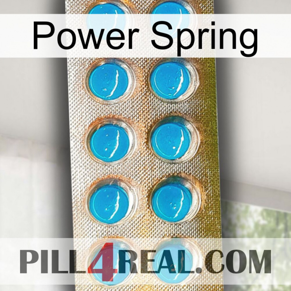 Power Spring new09.jpg